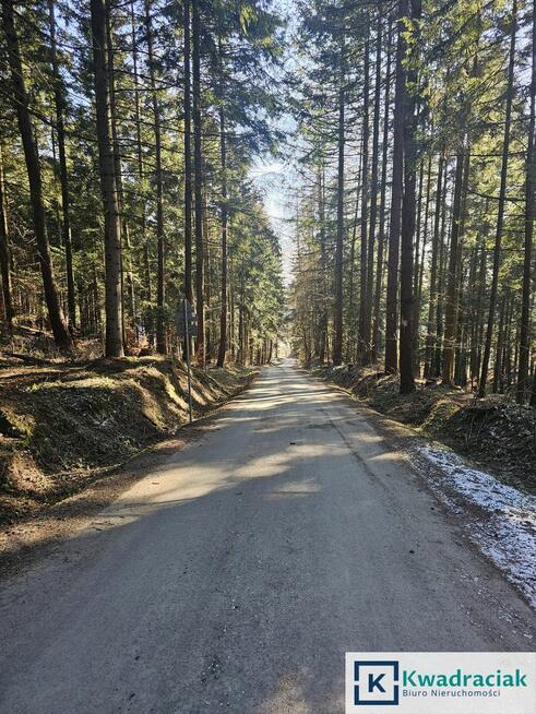 Działka inwestycyjna Odrzykoń gm. Wojaszówka, Leśna