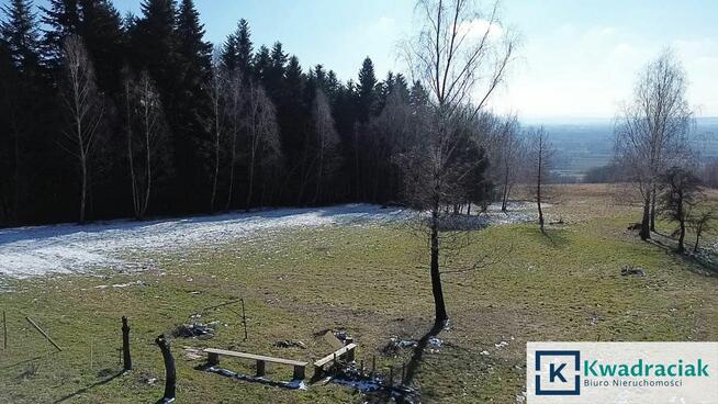 Działka inwestycyjna Odrzykoń gm. Wojaszówka, Leśna