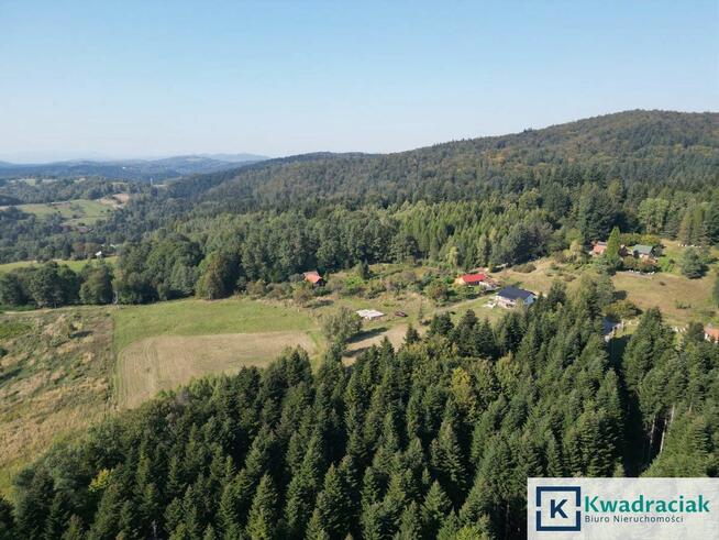 Działka inwestycyjna Odrzykoń gm. Wojaszówka, Leśna