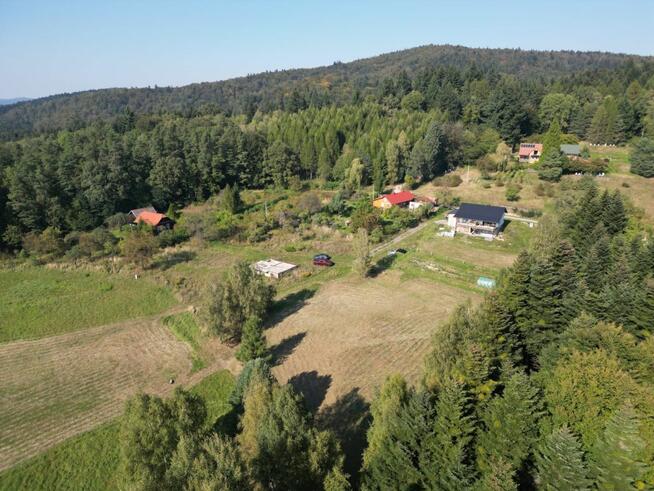 Działka inwestycyjna Odrzykoń gm. Wojaszówka, Leśna