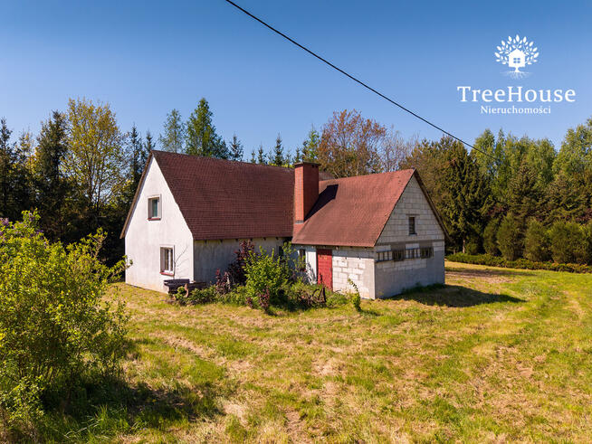 Działka z domem i lasem – 1,69 ha, Polejki