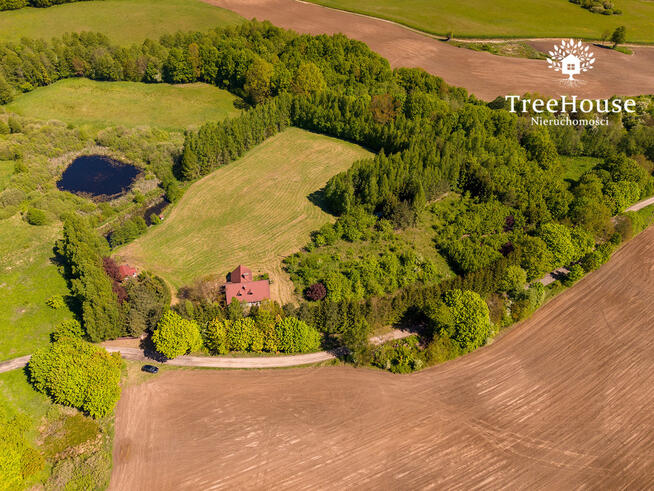 Działka z domem i lasem – 1,69 ha, Polejki