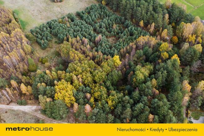 Przepiękna działka budowlana las Bory Tucholskie