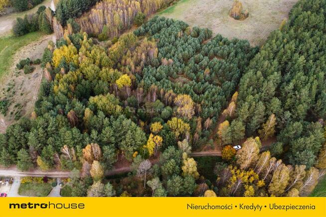 Przepiękna działka budowlana las Bory Tucholskie