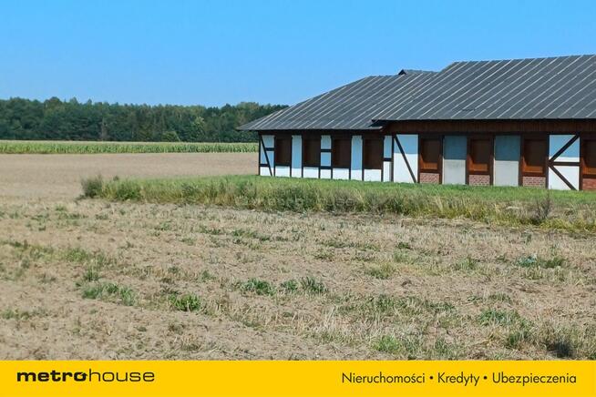 Duża działka budowlana przy lesie na Kaszubach.