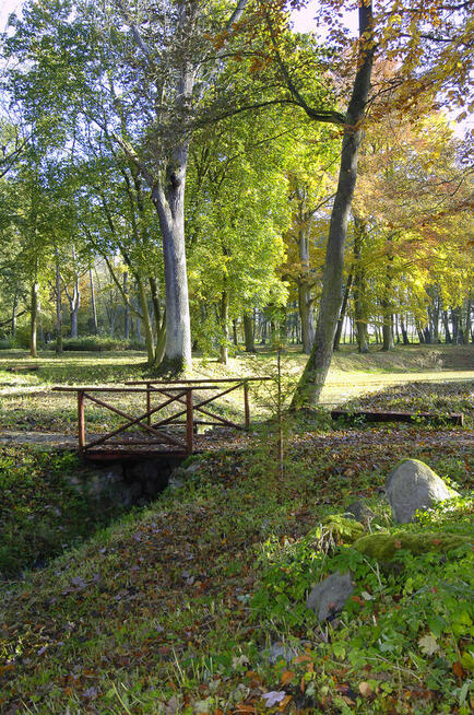 Najem Zespołu Parkowo-Pałacowego w Małkocinie