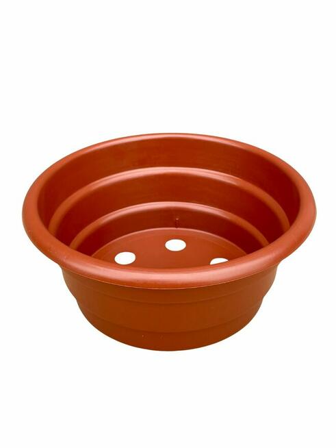 Misa misy doniczka 21 cm na chryzantemy