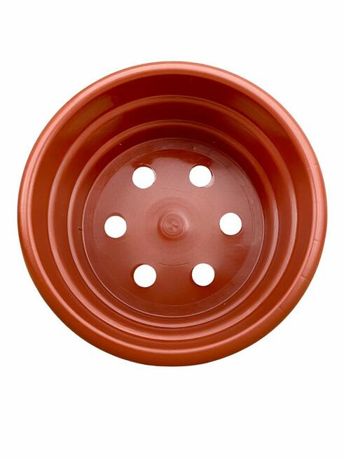 Misa misy doniczka 21 cm na chryzantemy