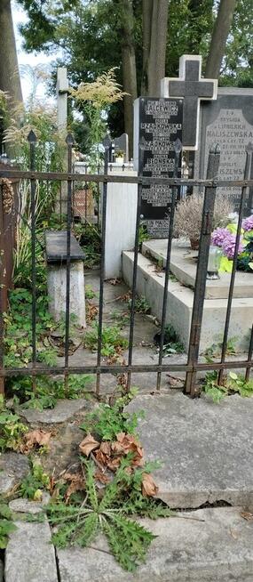 Sprzątanie i pielęgnacja grobów Zamość