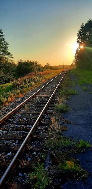 W końcu Cię znajdę