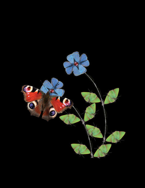 Poczytna powieść online pisarza gdańskiego