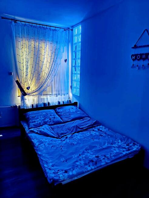 mieszkanie 52m2 z ogródkiem, do negocjacji