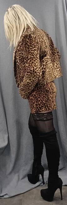 Trans Crossdress szuka pana