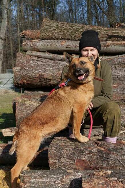 Goka szuka domu -schronisko Zgierz-aktualne