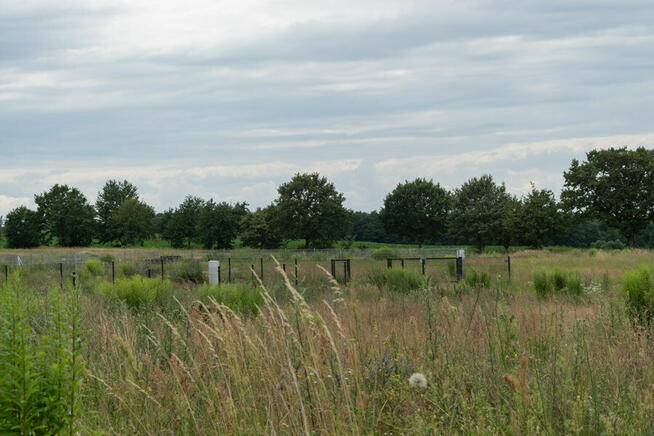 Jezioro 100m; las; Kraina lasów i jezior