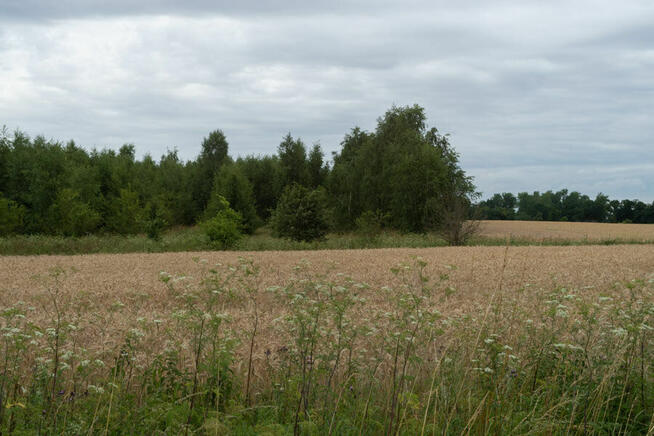 Nad jeziorem. kraina lasów i jezior. Jezioro 100m,
