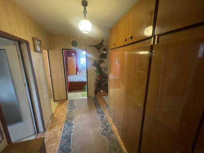 Mieszkanie Kielce, Hoża