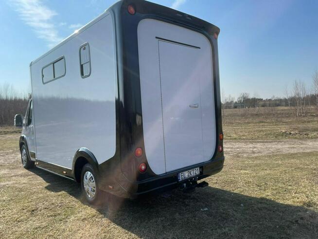 Koniowóz Peugeot Boxer, Zabudowa 2025r