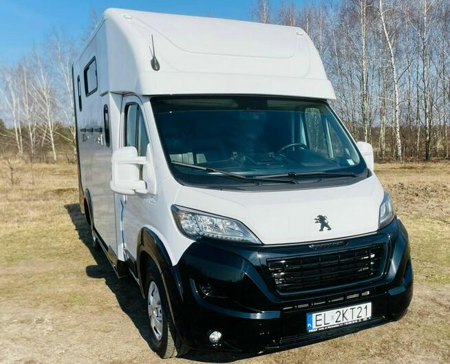 Koniowóz Peugeot Boxer, Zabudowa 2025r