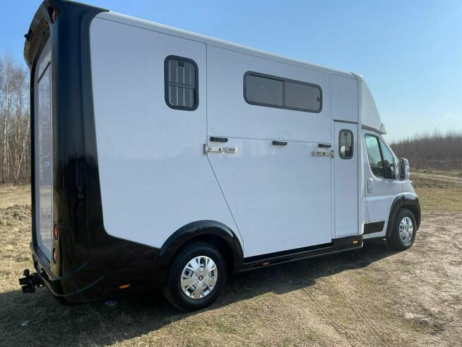 Koniowóz Peugeot Boxer, Zabudowa 2025r