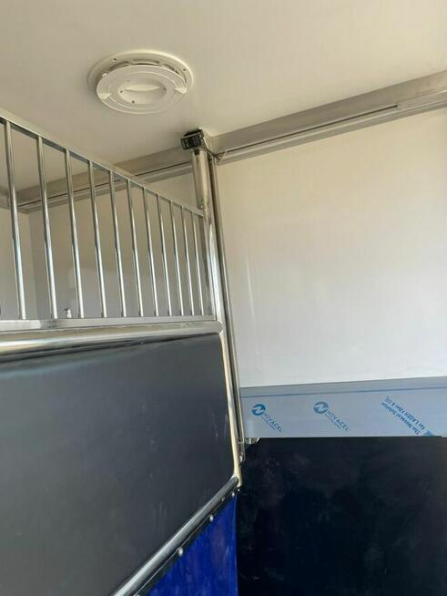 Koniowóz Peugeot Boxer, Zabudowa 2025r