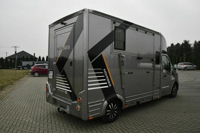 Koniowóz - Nowa Zabudowa.Master na 2 Konie. 2.3dci. Hak.Klimatyzacja