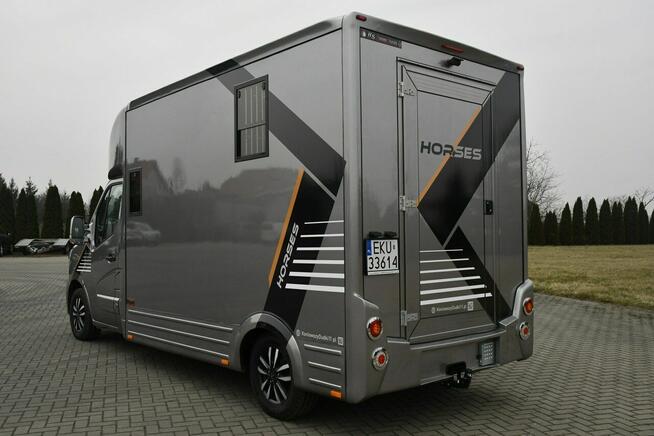 Koniowóz - Nowa Zabudowa.Master na 2 Konie. 2.3dci. Hak.Klimatyzacja