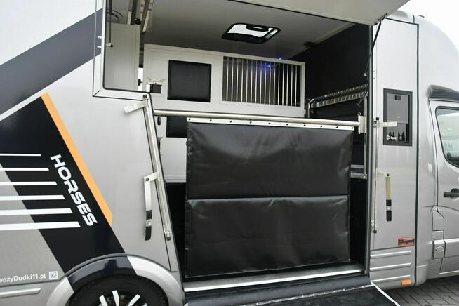 Koniowóz - Nowa Zabudowa.Master na 2 Konie. 2.3dci. Hak.Klimatyzacja