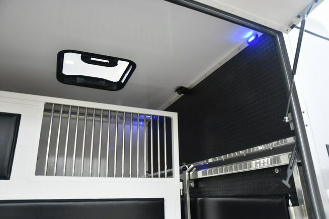 Koniowóz - Nowa Zabudowa.Master na 2 Konie. 2.3dci. Hak.Klimatyzacja