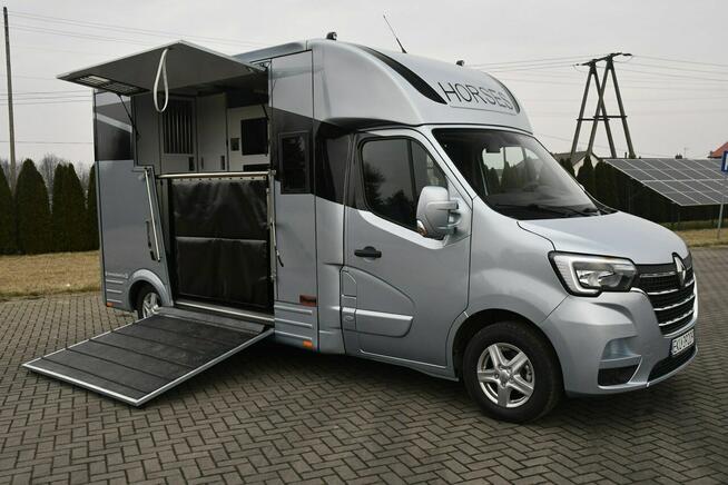 Renault Master Koniowóz 2,3dci Nowa Zabudowa Ogierowa. Kamery na Stanowiska