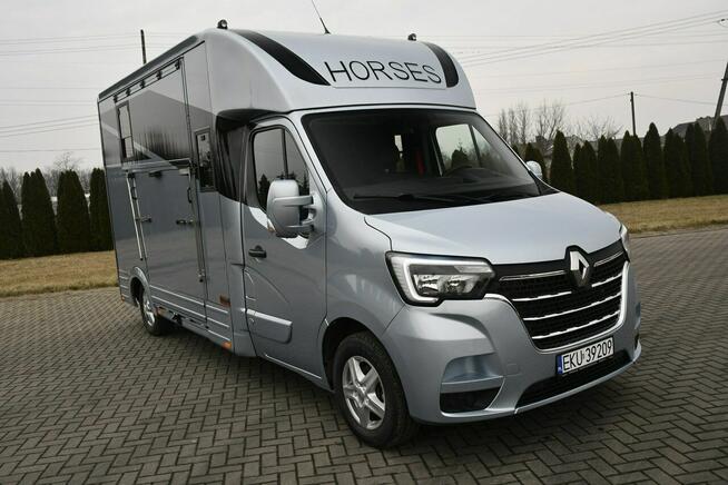 Renault Master Koniowóz 2,3dci Nowa Zabudowa Ogierowa. Kamery na Stanowiska