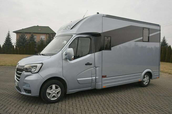 Renault Master Koniowóz 2,3dci Nowa Zabudowa Ogierowa. Kamery na Stanowiska