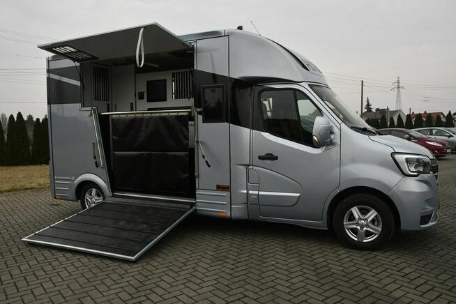 Renault Master Koniowóz 2,3dci Nowa Zabudowa Ogierowa. Kamery na Stanowiska