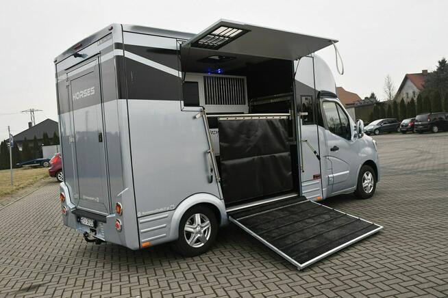 Renault Master Koniowóz 2,3dci Nowa Zabudowa Ogierowa. Kamery na Stanowiska