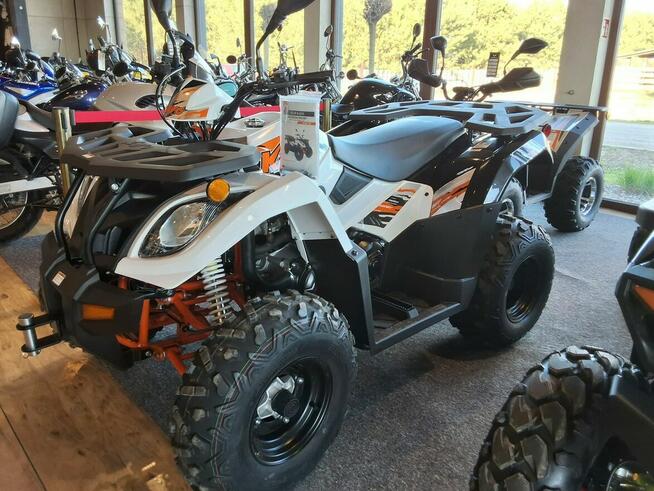 KAYO AU SALON MOTOCYKLOWY MOTOEAGLES Kayo AU 300. Sprawdż ofertę i Serwis