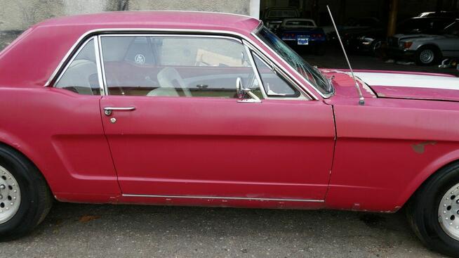 Ford Mustang V8 289cu Automat Sprowadzony C-code LUXURYCLASSIC