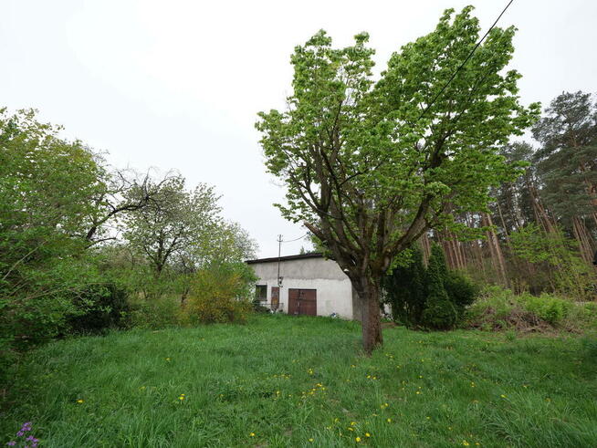 Mały domek w spokojnej okolicy