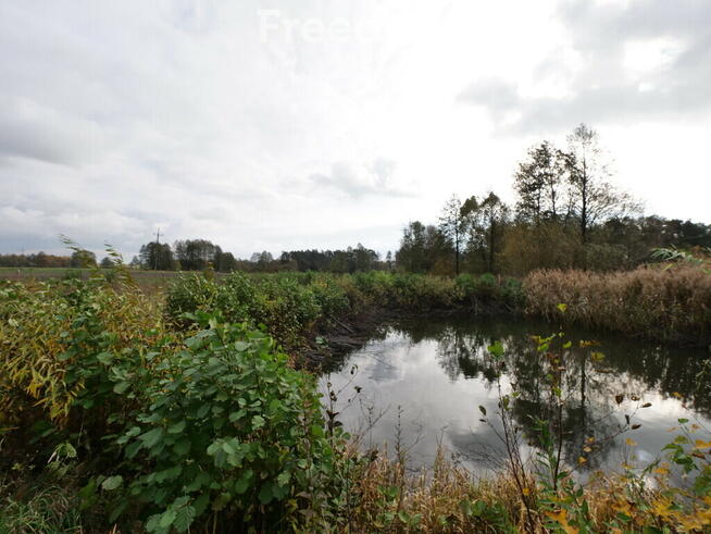 Mały domek w spokojnej okolicy