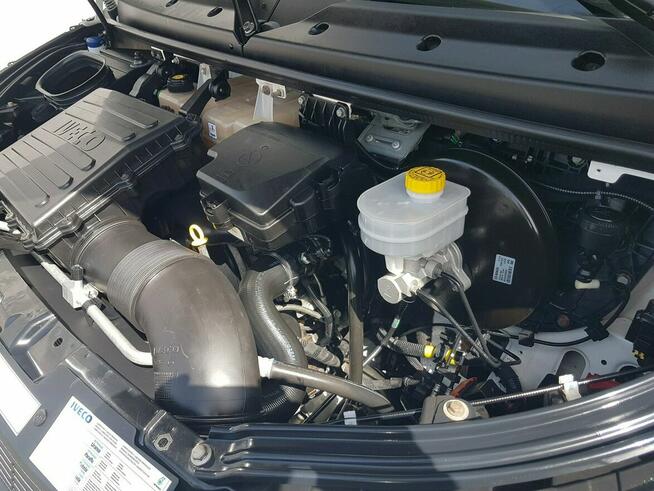 Iveco Daily KONTENER NISKOPODŁOGOWY 4,43x2,23x2,42 SKLEP BAR FOODTRUCK KAMPER AC