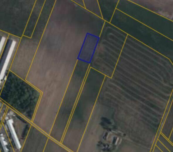 sprzedam ziemię orną i łąki