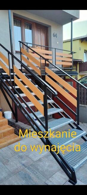 Mieszkanie do wynajęcia
