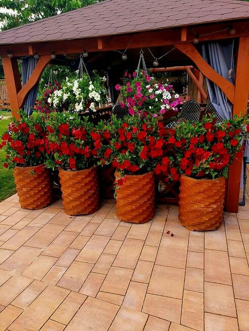 Działka ROD 1000m² – altana murowana, kominek, TV, basen, mo