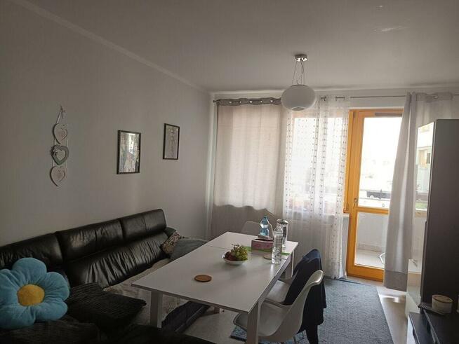 POKÓJ SZCZECIN współlokator, 2 pokoje+ SALON, blisko centrum