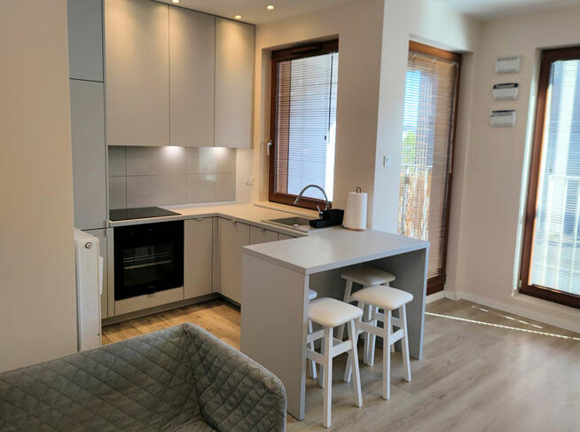 Mieszkanie do wynajęcia