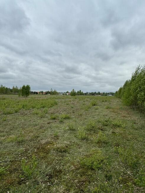 działka budowlana o powierzchni 1250 m²