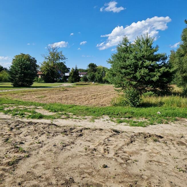 Działka Sasino 1000 m², ul. Polna – rekreacyjna/budowlana