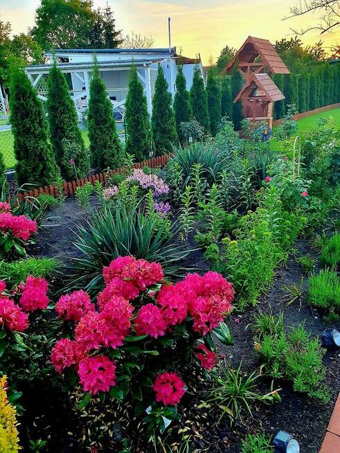 Działka ROD 1000m² – altana murowana, kominek, TV, basen, mo