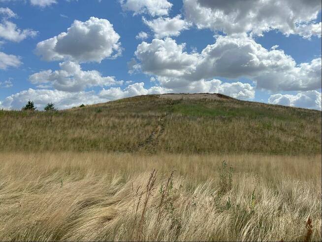 Działka budowlana nad Zalewem Pakosław do sprzedania