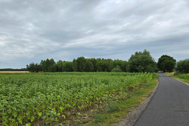 Nad jeziorem. kraina lasów i jezior. Jezioro 100m,