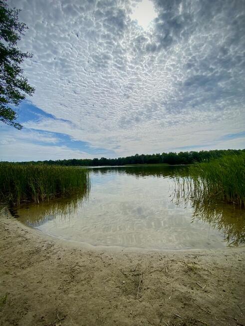 Działka na sprzedaż, Szczekarzewo, Kujawsko Pomorskie